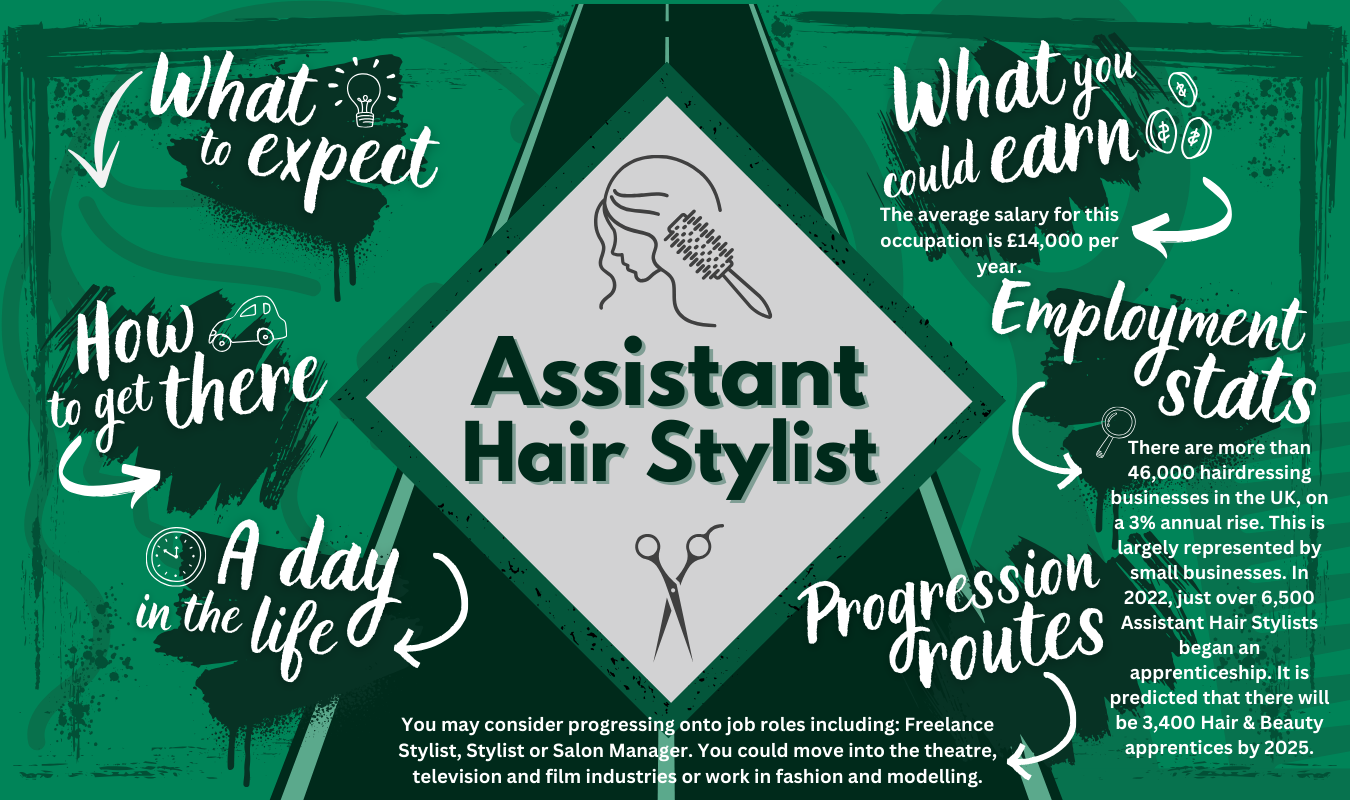Assistant Hair Stylist