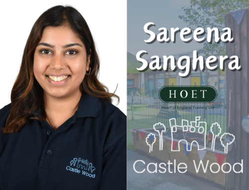 Sareena Sanghera – A Distinction In Business Administration
