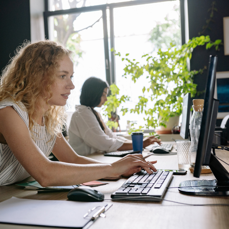 Apprenticeship Enquiry